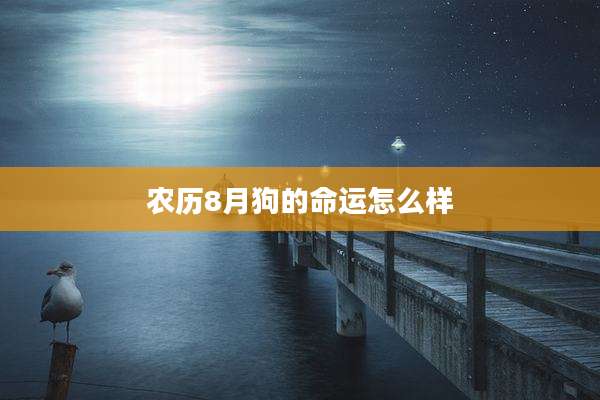 农历8月狗的命运怎么样