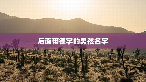 后面带德字的男孩名字
