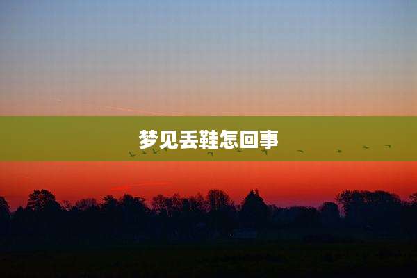梦见丢鞋怎回事