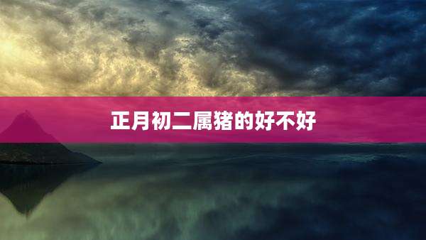 正月初二属猪的好不好