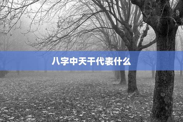 八字中天干代表什么
