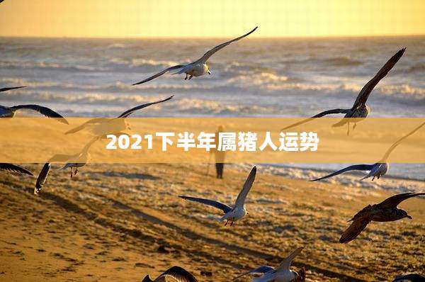 2021下半年属猪人运势