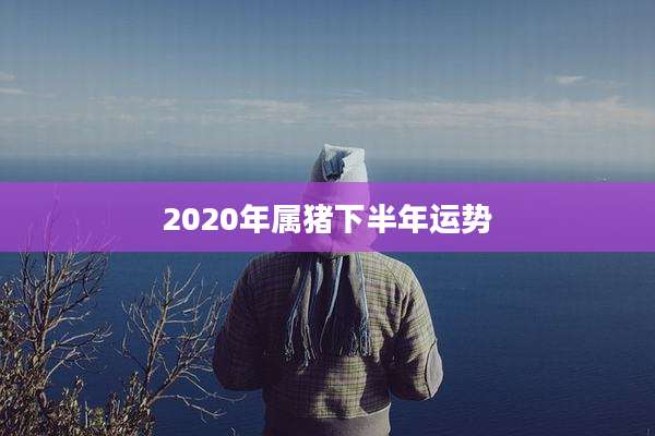 2020年属猪下半年运势