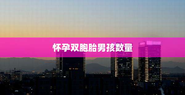 怀孕双胞胎男孩数量
