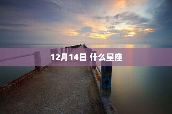 12月14日 什么星座