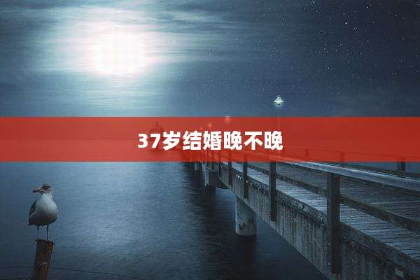 37岁结婚晚不晚