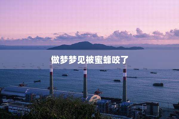 做梦梦见被蜜蜂咬了