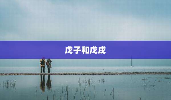 戊子和戊戌