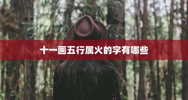 十一画五行属火的字有哪些