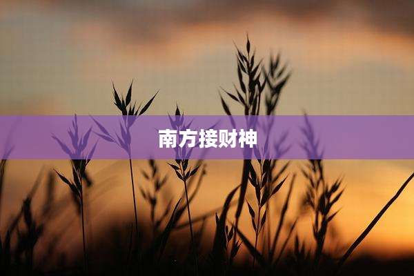 南方接财神