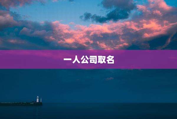 一人公司取名