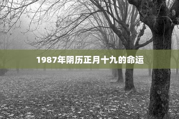 1987年阴历正月十九的命运