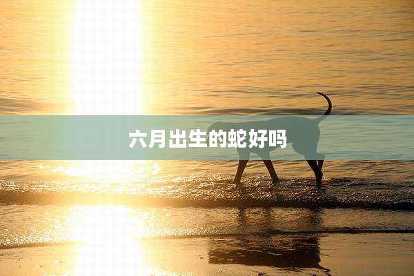 六月出生的蛇好吗