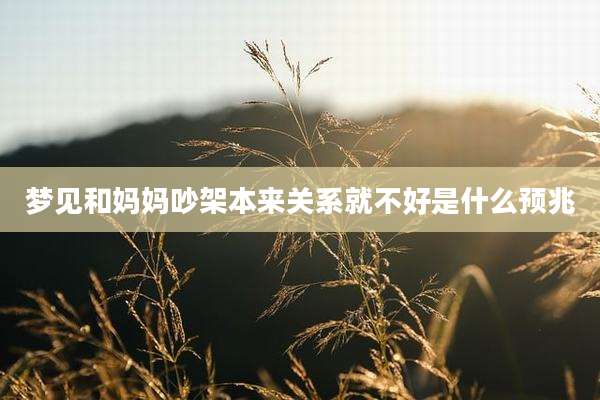 梦见和妈妈吵架本来关系就不好是什么预兆
