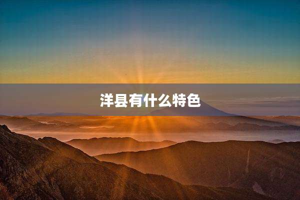 洋县有什么特色