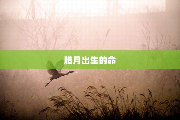 腊月出生的命