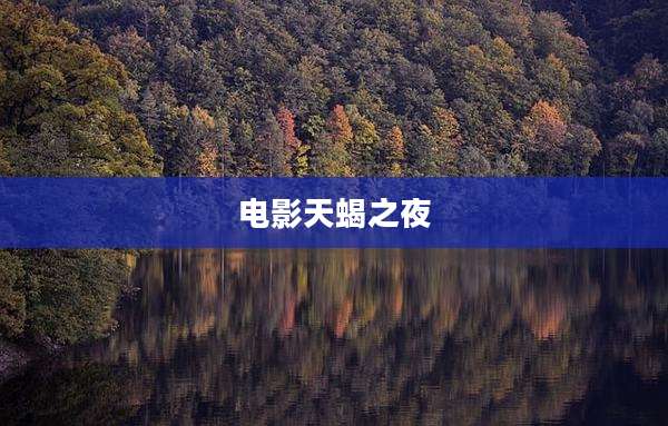 电影天蝎之夜