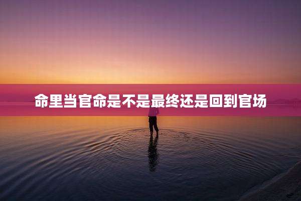 命里当官命是不是最终还是回到官场