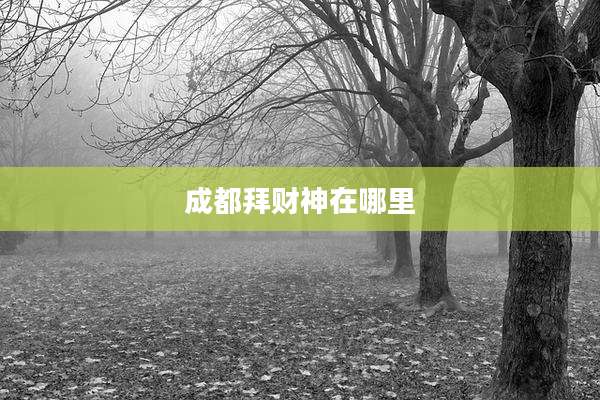 成都拜财神在哪里