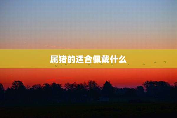属猪的适合佩戴什么