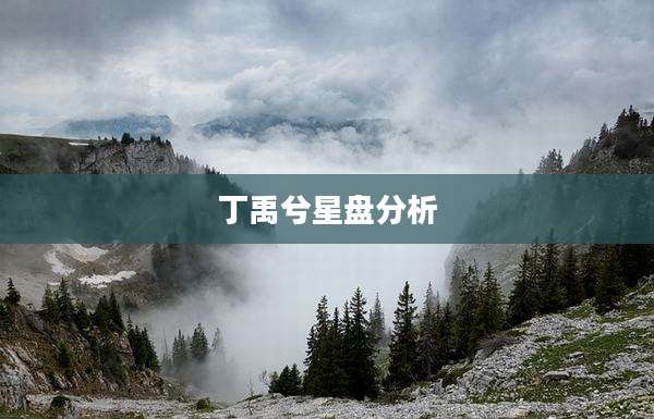 丁禹兮星盘分析