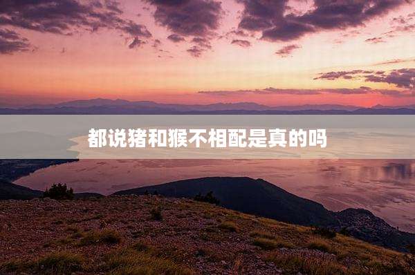 都说猪和猴不相配是真的吗