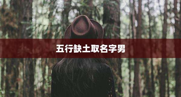 五行缺土取名字男