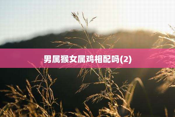 男属猴女属鸡相配吗(2)