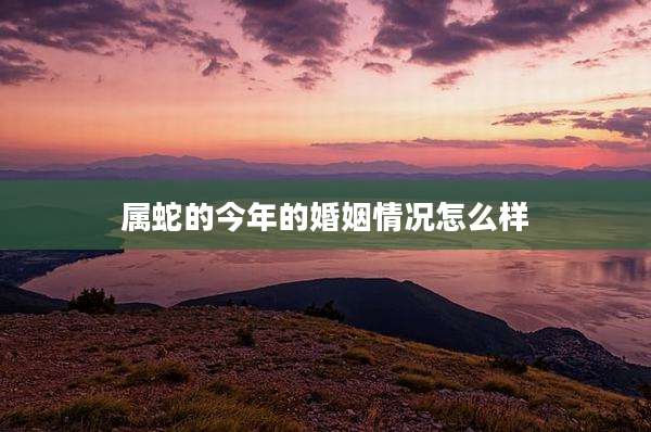 属蛇的今年的婚姻情况怎么样