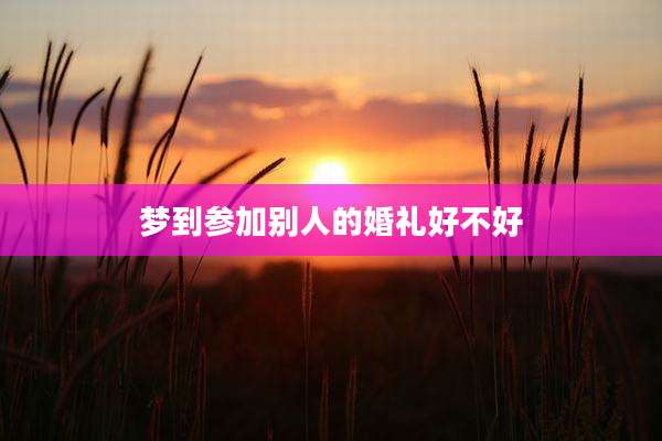 梦到参加别人的婚礼好不好