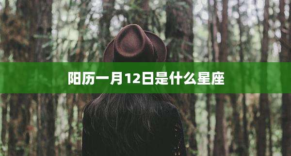 阳历一月12日是什么星座