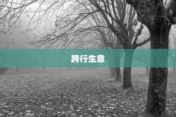 跨行生意