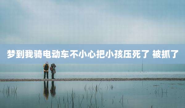 梦到我骑电动车不小心把小孩压死了 被抓了