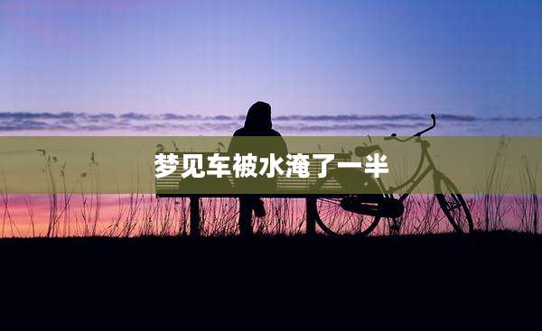 梦见车被水淹了一半