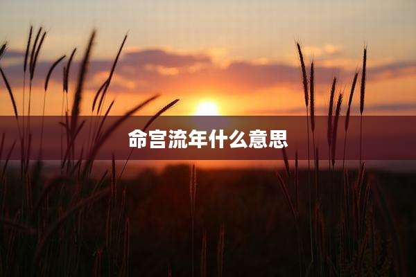 命宫流年什么意思