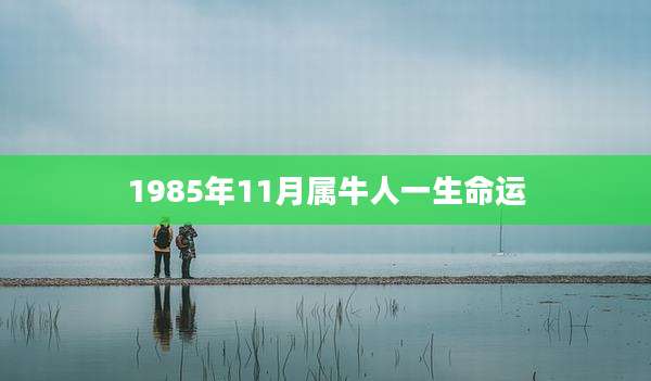 1985年11月属牛人一生命运