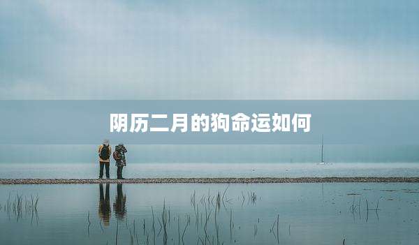 阴历二月的狗命运如何