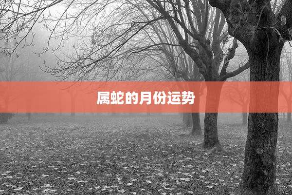 属蛇的月份运势