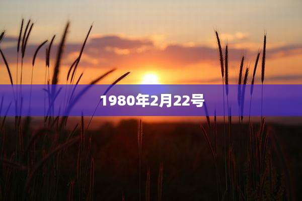 1980年2月22号