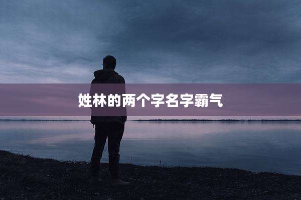 姓林的两个字名字霸气