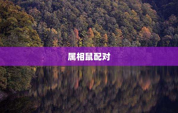 属相鼠配对