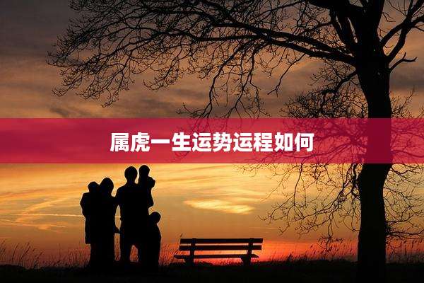 属虎一生运势运程如何