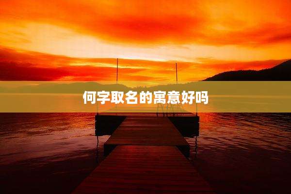 何字取名的寓意好吗