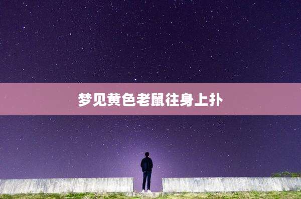 梦见黄色老鼠往身上扑
