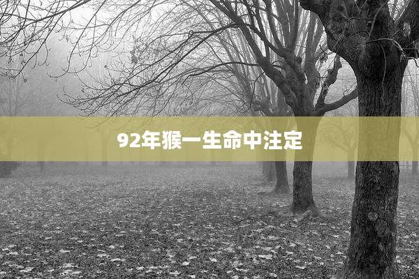 92年猴一生命中注定