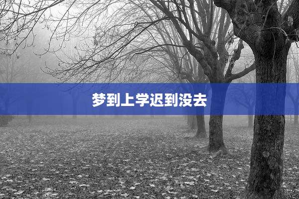 梦到上学迟到没去