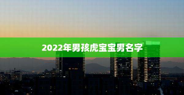 2022年男孩虎宝宝男名字