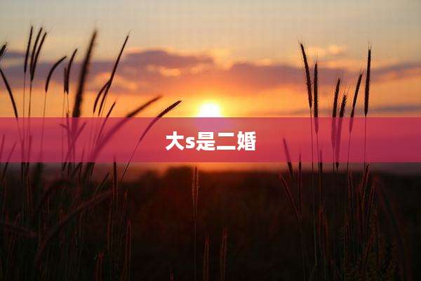 大s是二婚