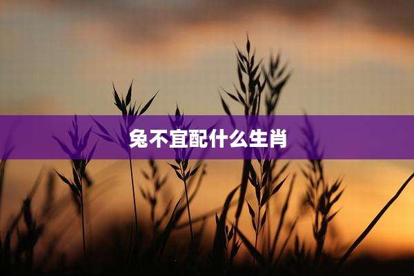 兔不宜配什么生肖