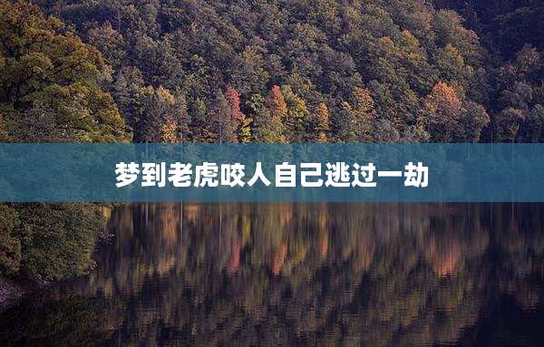梦到老虎咬人自己逃过一劫